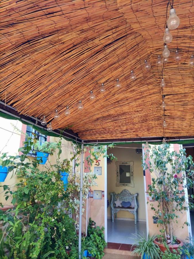 Cool Garden And Suite Mairena del Aljarafe Luaran gambar