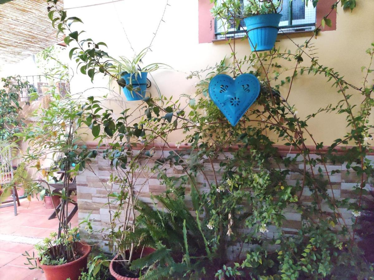 Cool Garden And Suite Mairena del Aljarafe Luaran gambar