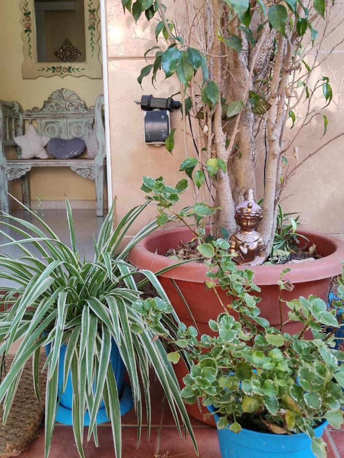Cool Garden And Suite Mairena del Aljarafe Luaran gambar