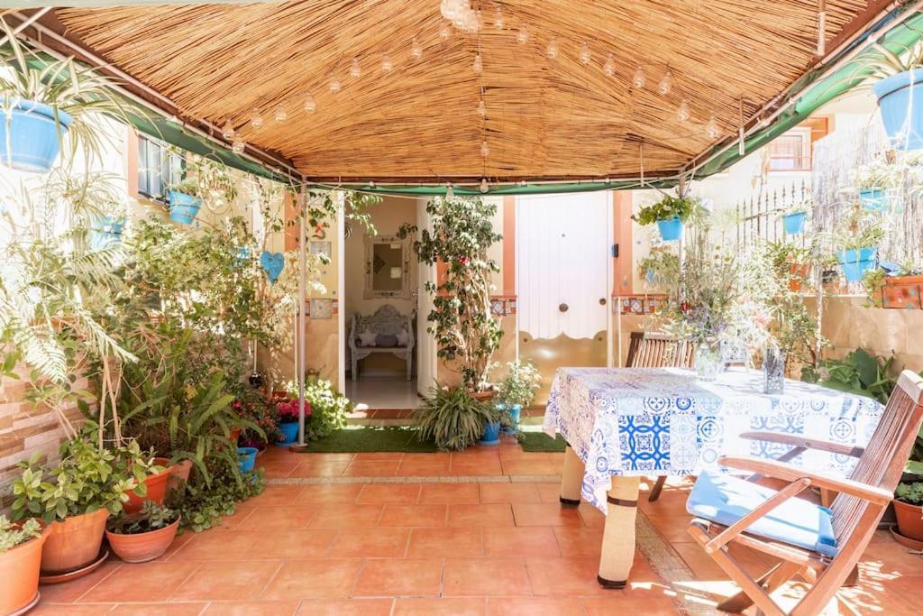Cool Garden And Suite Mairena del Aljarafe Luaran gambar